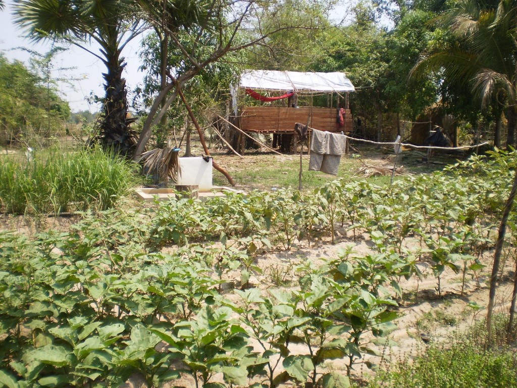 Pull pump and home garden